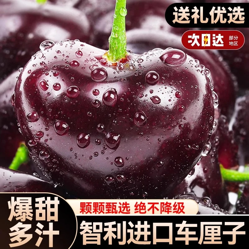 4JD果王加大【5斤原箱未拆封】智利海运进口拉宾斯车厘子应季水果脆甜顺丰京东内附果径卡XG拉宾斯智利共和国