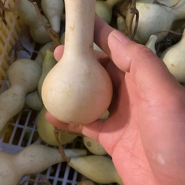 雾***i土豆葫芦手把件葫芦葫芦