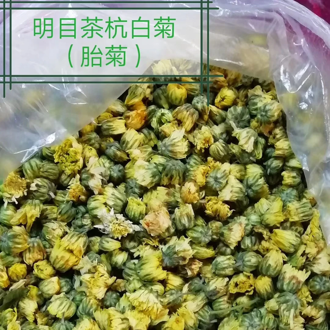 限时优惠胎菊杭白菊散装桐乡菊花茶实惠装茶包