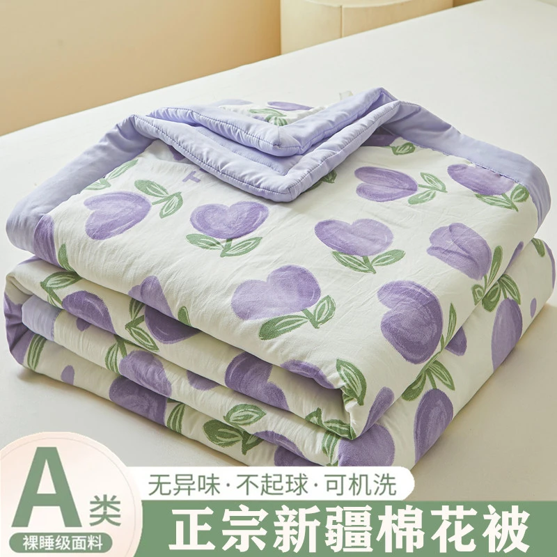 A类无印风棉花夏被夏凉被空调被薄被芯爆款薄被子春季双人家用被