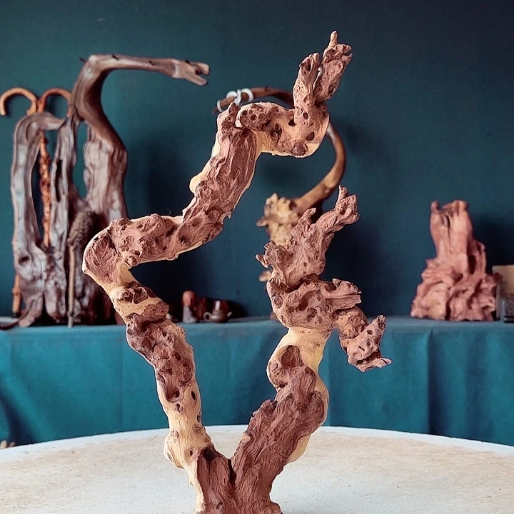 黑果木《****》750金丝红木羊蹄甲半成品