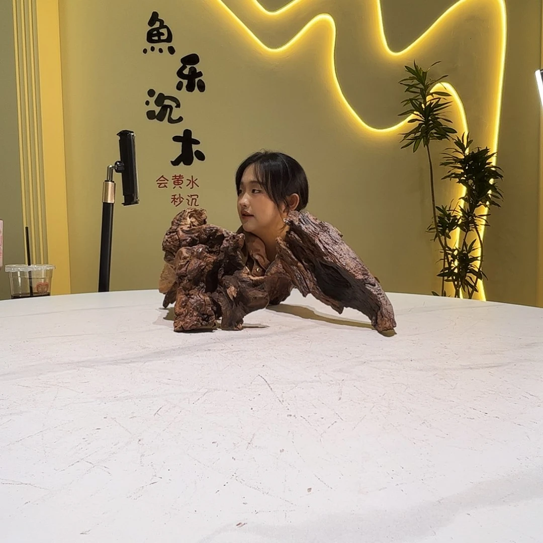 瓦当小*帽沉木会黄黑红水853。2个