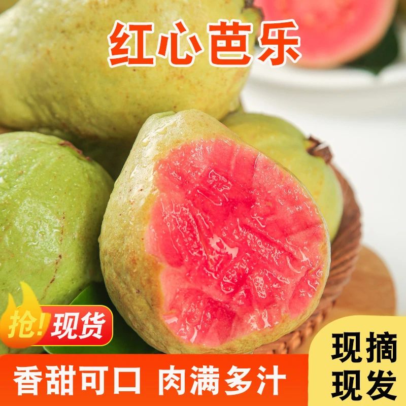 广西红心软芭乐新鲜采摘水果软糯香甜产地直发当季水果坏果包赔