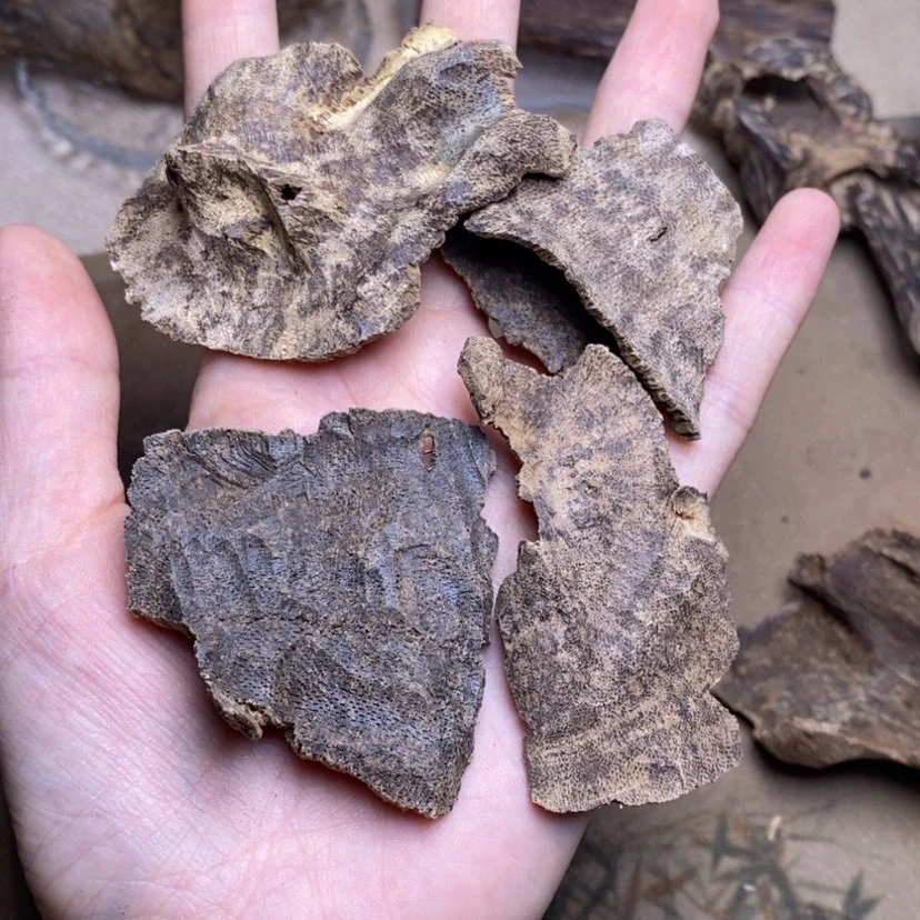 【闪购商品】香榧木海南10克