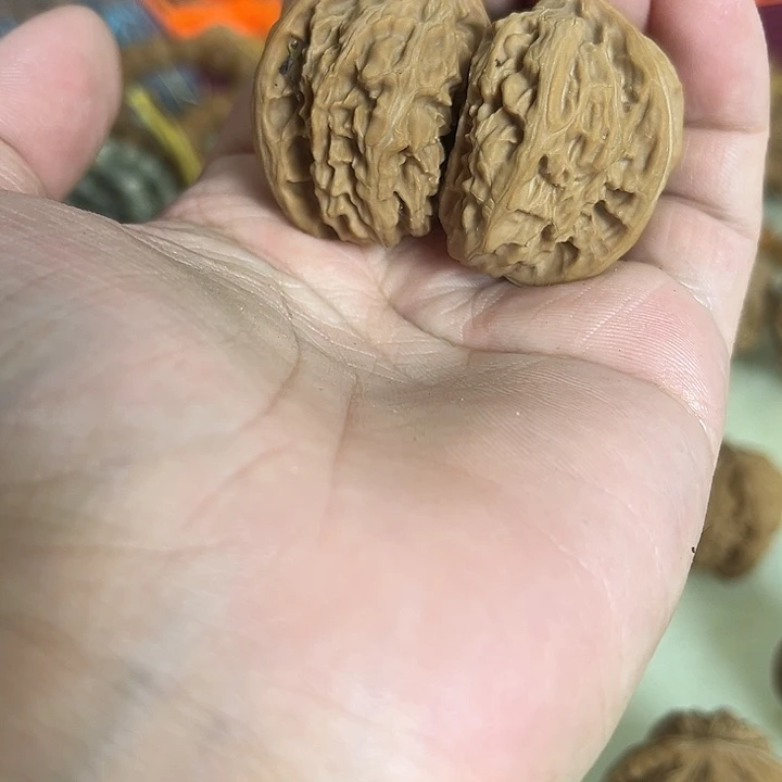 把件文玩核桃白狮子异形双胞胎瑕疵练手