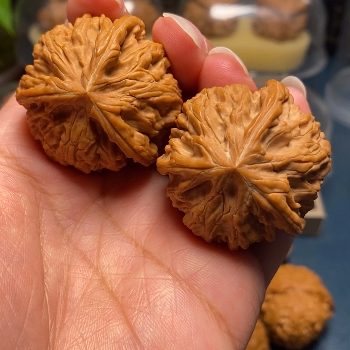 【闪购商品】文玩核桃把件御龙粗筋球奔