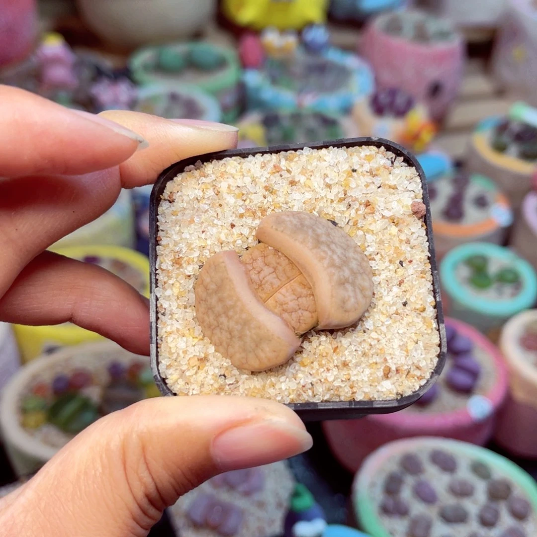 103。88888888888888