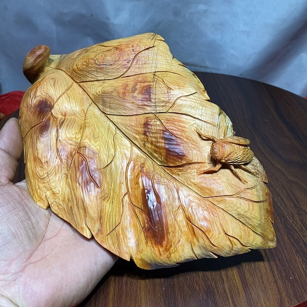 佛***脚柏木（崖柏）崖柏一鸣惊人