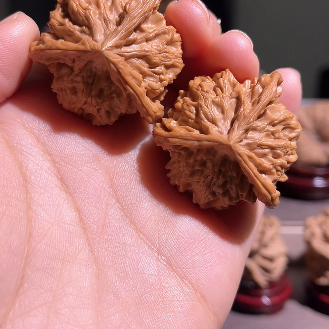 →***←核桃全品39盘山三棱