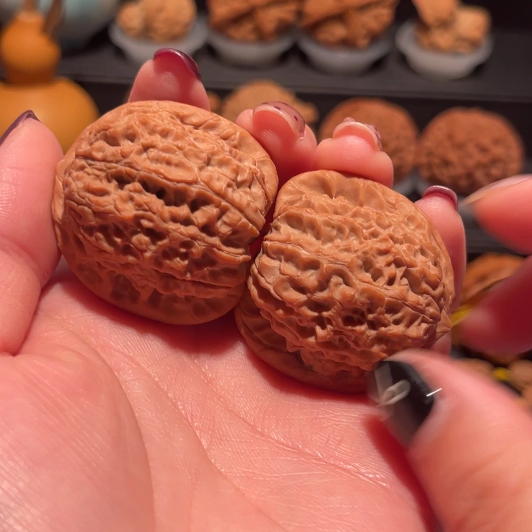 *****血麒麟老树136，全品