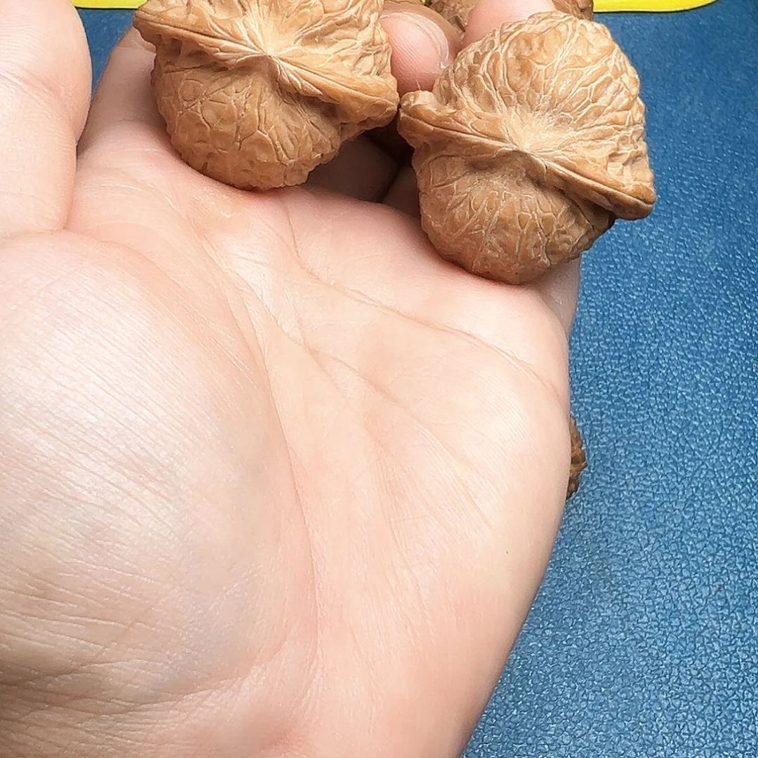 柔***卉吊坠文玩核桃41.5南瓜墩