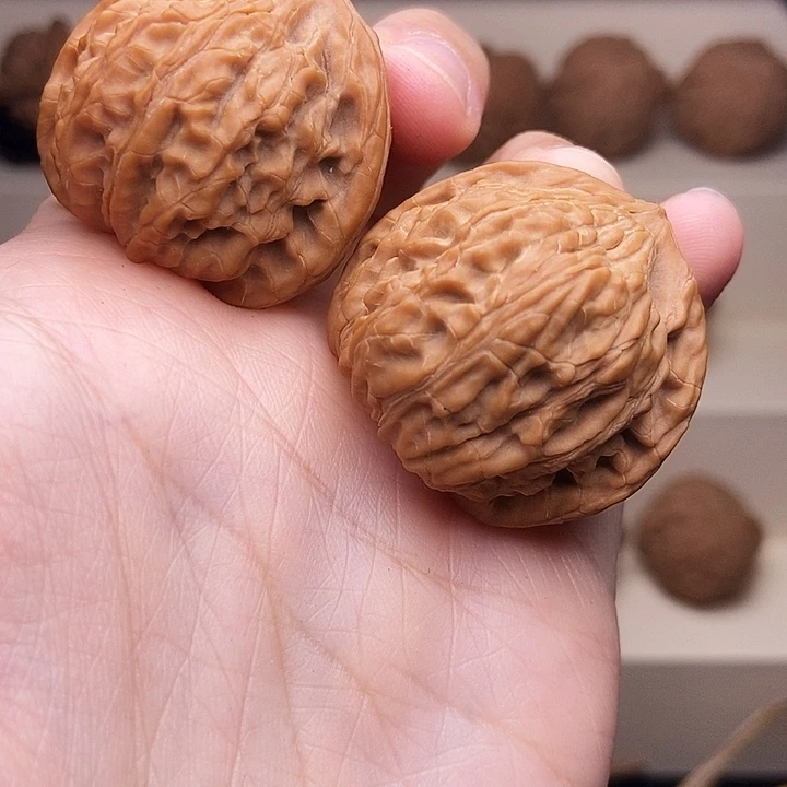 核桃山地果，牛牛果
