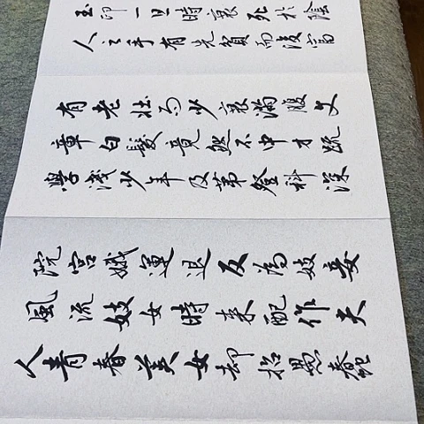 P***e扇子寒窑赋行书册页作品