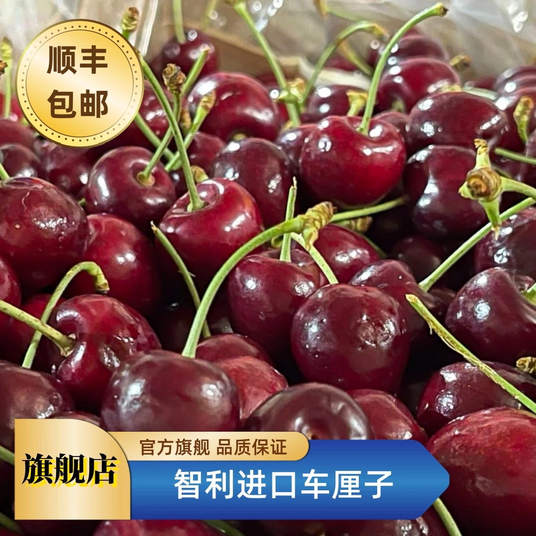 【钦鲜生】智利海运桑提娜黑车JD-4JD车厘子5斤 内附果径卡