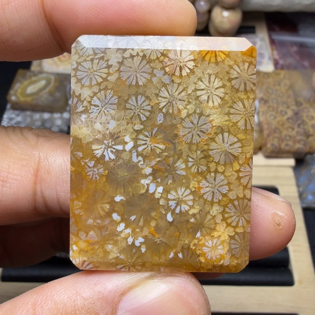 硅化玉未镶嵌纯天然色有机玉石保真色