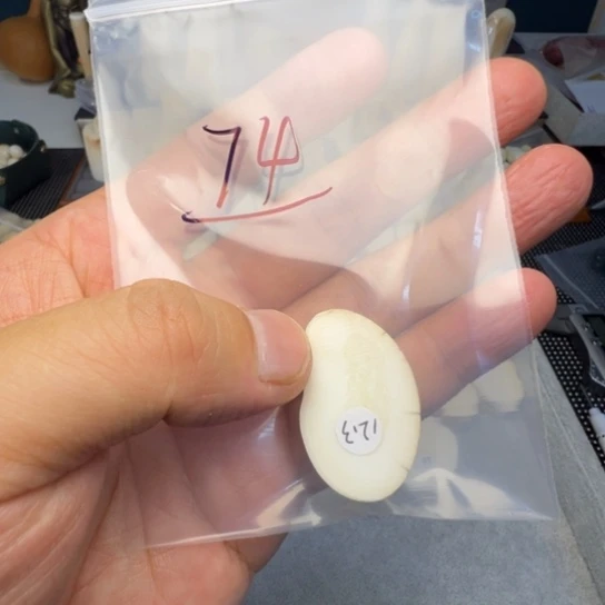 未镶嵌琥珀裸石特价处理