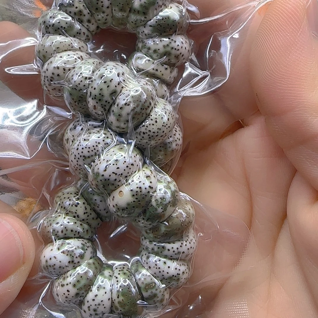 手串星月菩提109傲世高密度星月菩提14单圈大肠