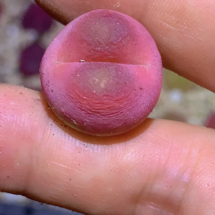 486589999999666666555555