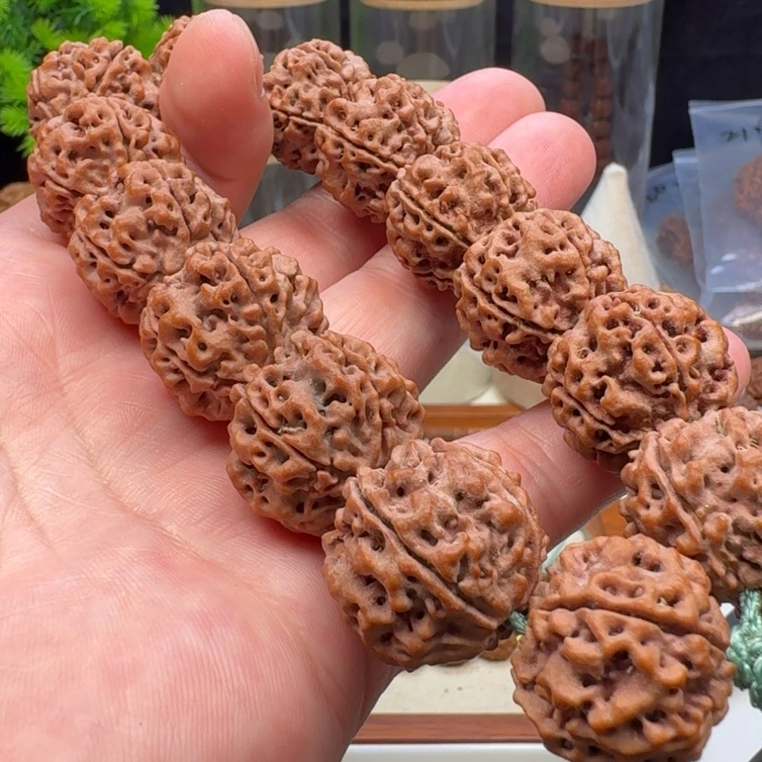 金刚菩提手串蜂窝双龙