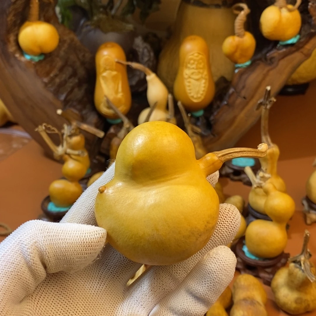 9***熊教练咯教练咯考虑