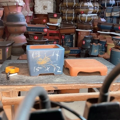 紫砂花西四方一个