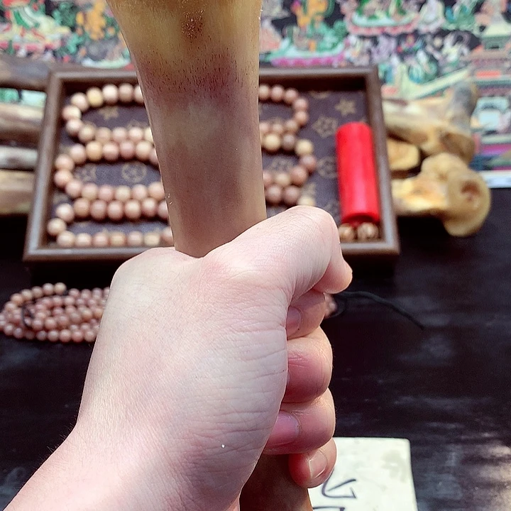 驼骨手串/手链12345
