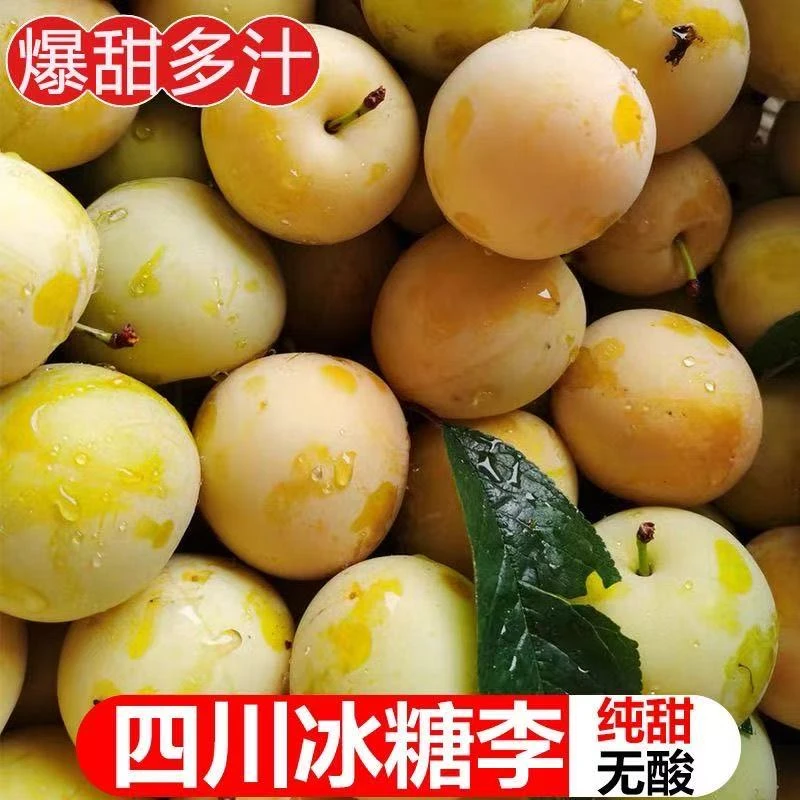 正宗四川冰糖李桃花李果园直发应季新鲜蜂糖蜜李子水果应季水果