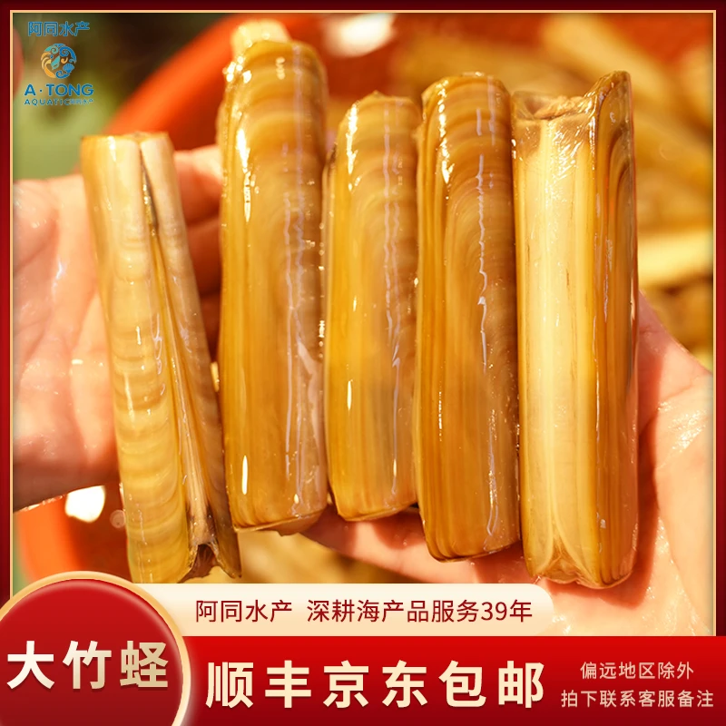 【阿同水产】大竹蛏子福州发货