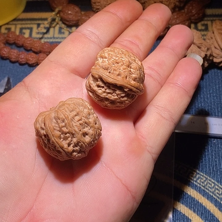 请***M全品小白狮子一对