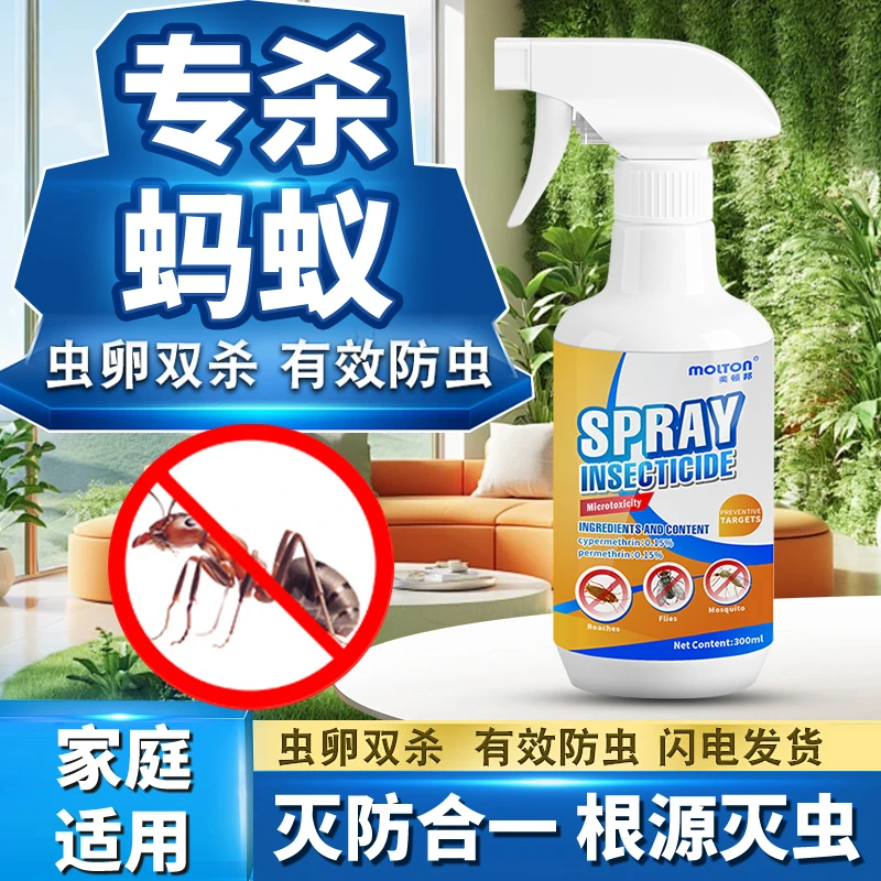 去除蚂蚁专用药驱虫室内杀蚂蚁专用药红火蚁专用药家用蚂蚁一窝端