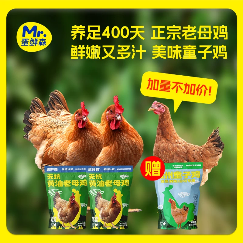 【活动专享】蛋鲜森无抗黄油老母鸡2只煲汤+净膛1.3斤左右童子鸡1只