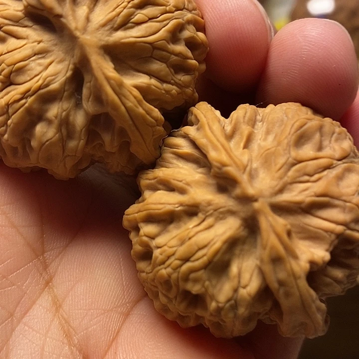 文玩核桃把件苹果