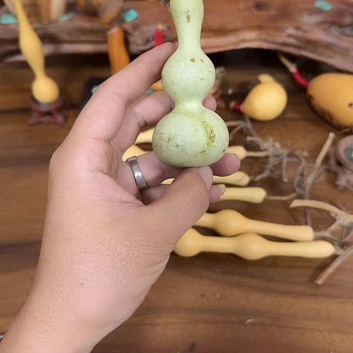 木***灬ivigigobobobobobobob