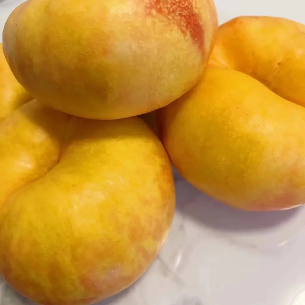 中油蟠23新品种油蟠树苗 八月初成熟 果肉厚 浓甜 单果250-400克