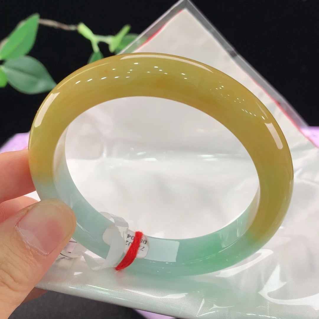未镶嵌手镯翡翠0413
