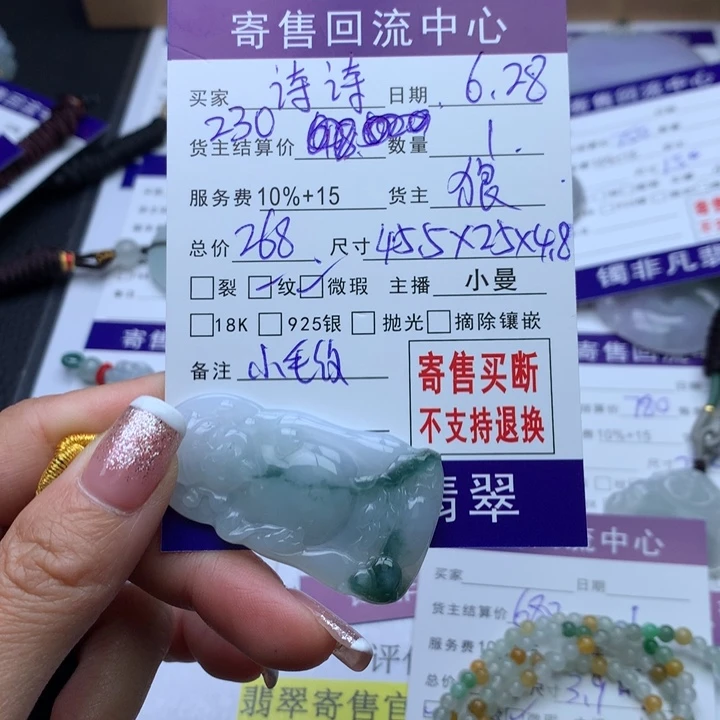 翡翠未镶嵌颈饰诗*