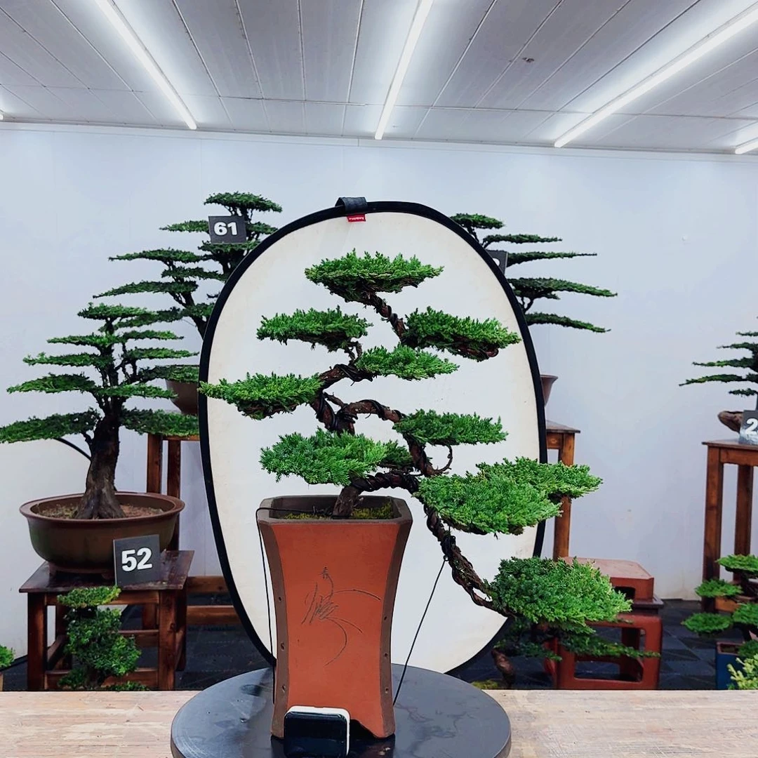 无花朵默*子00000000000000