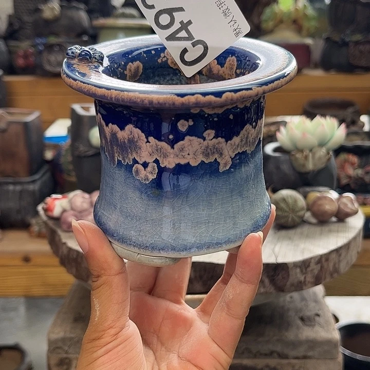 重庆小燕子欢迎大家493