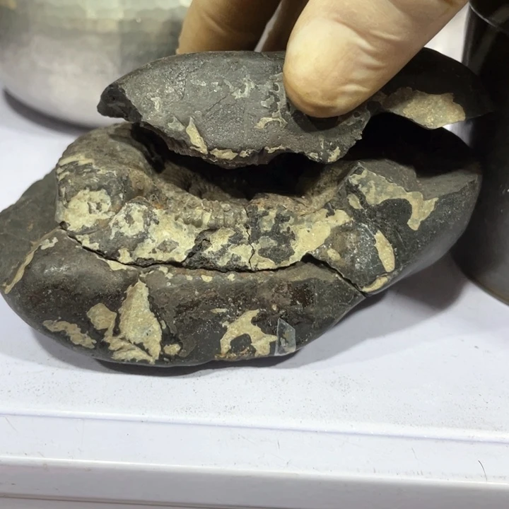 脾*曹新亿阁祝福大家新年快乐