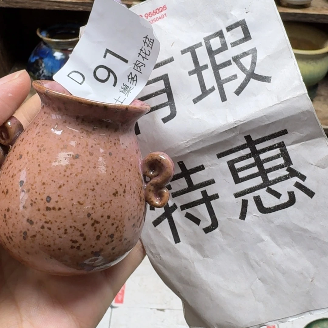 M***i陶瓷艺术设计学与制作