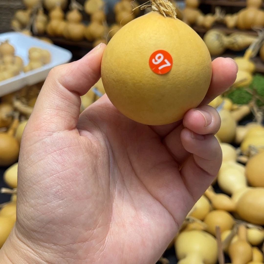 闪拍葫芦链接-1号品