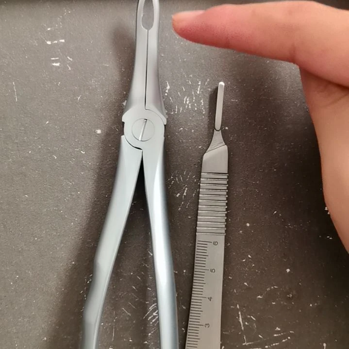 一把微创根钳和一把刀柄