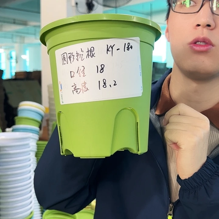 正品圆控口18高18果绿无托8只