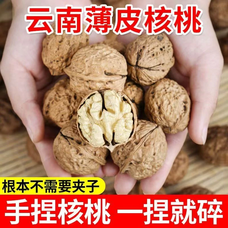 2025云南大理漾濞深山老树薄皮核桃新货原味醇香营养坚果零食