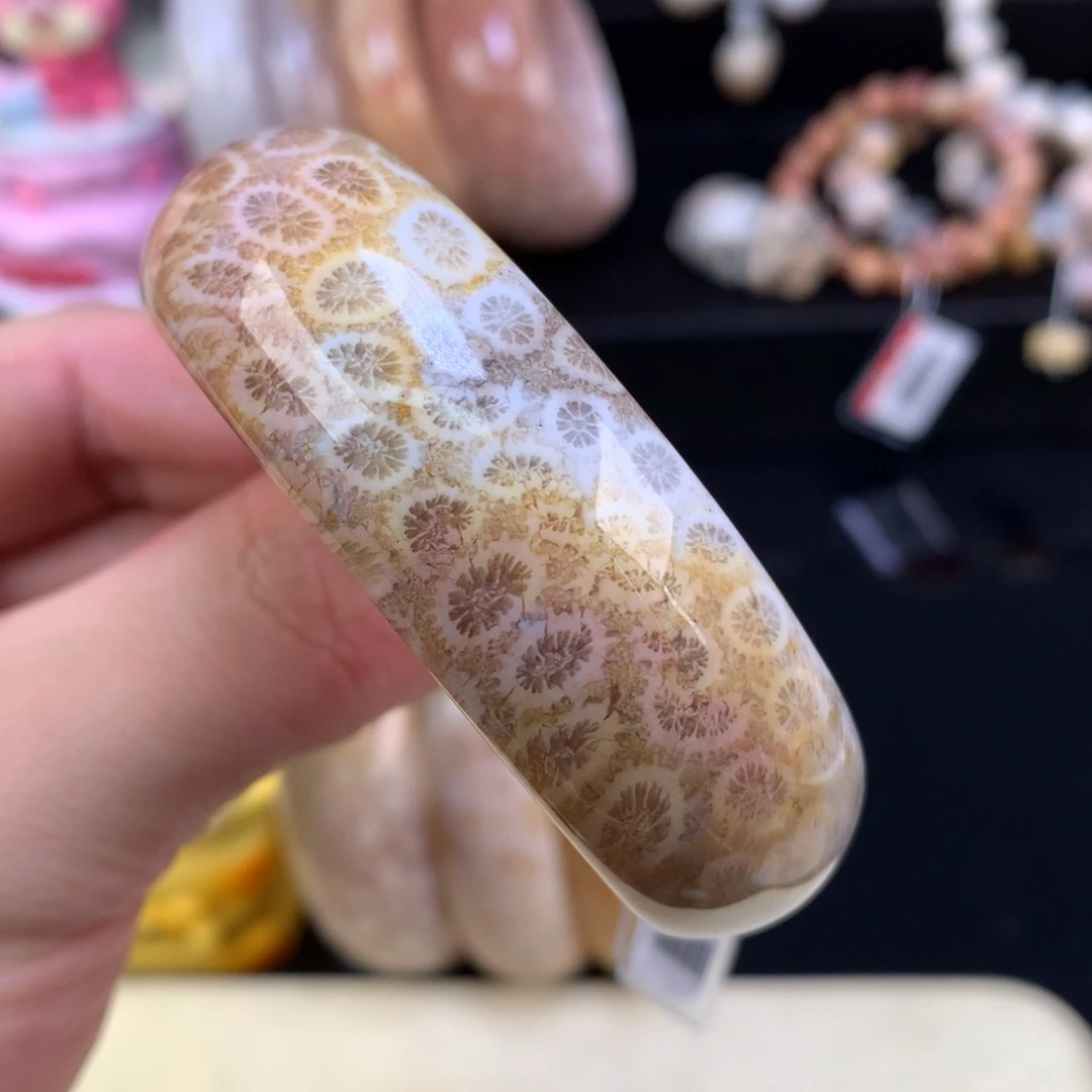 硅化珊瑚（珊瑚玉）未镶嵌颈饰39号51.5圈一镯双带