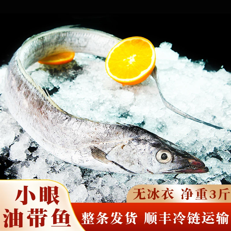 新鲜小眼带鱼整条鲜活冷冻保鲜海鲜水产鲜货正宗野生油带鱼无腥味