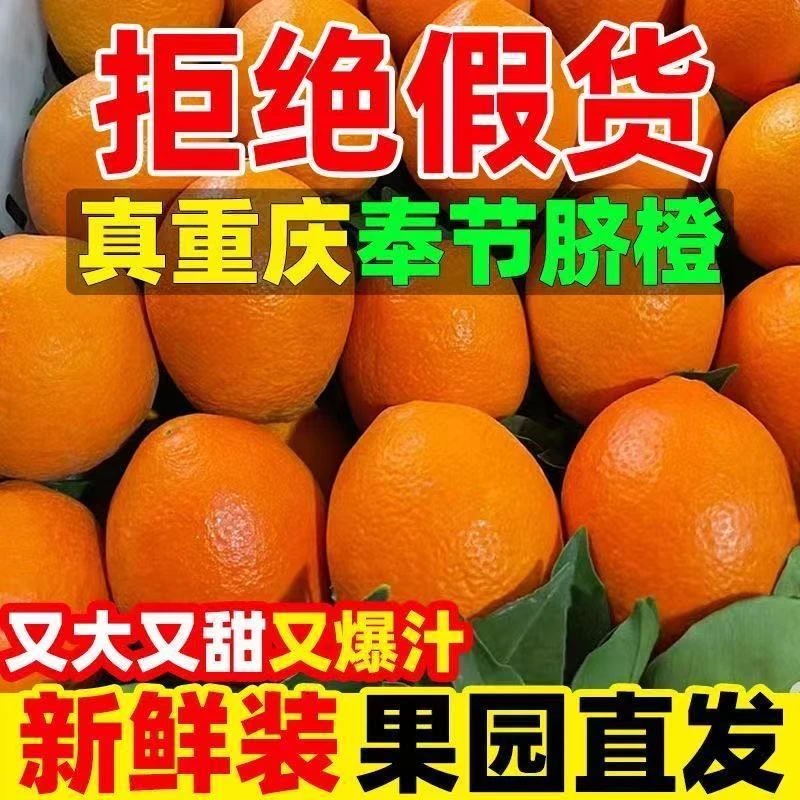 【产地直发】当季新鲜奉节脐橙香甜爆汁现采现发当季水果爆甜