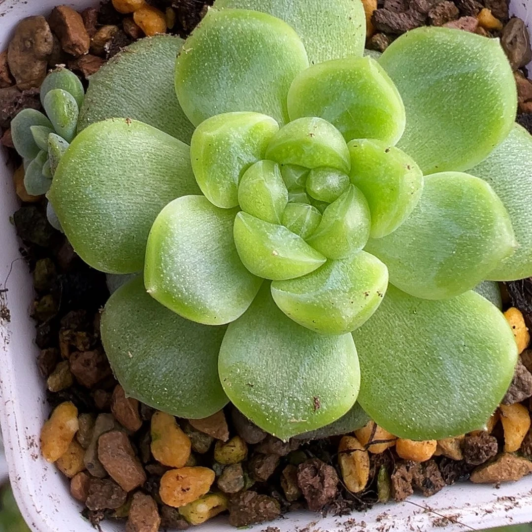 现金财富密码。