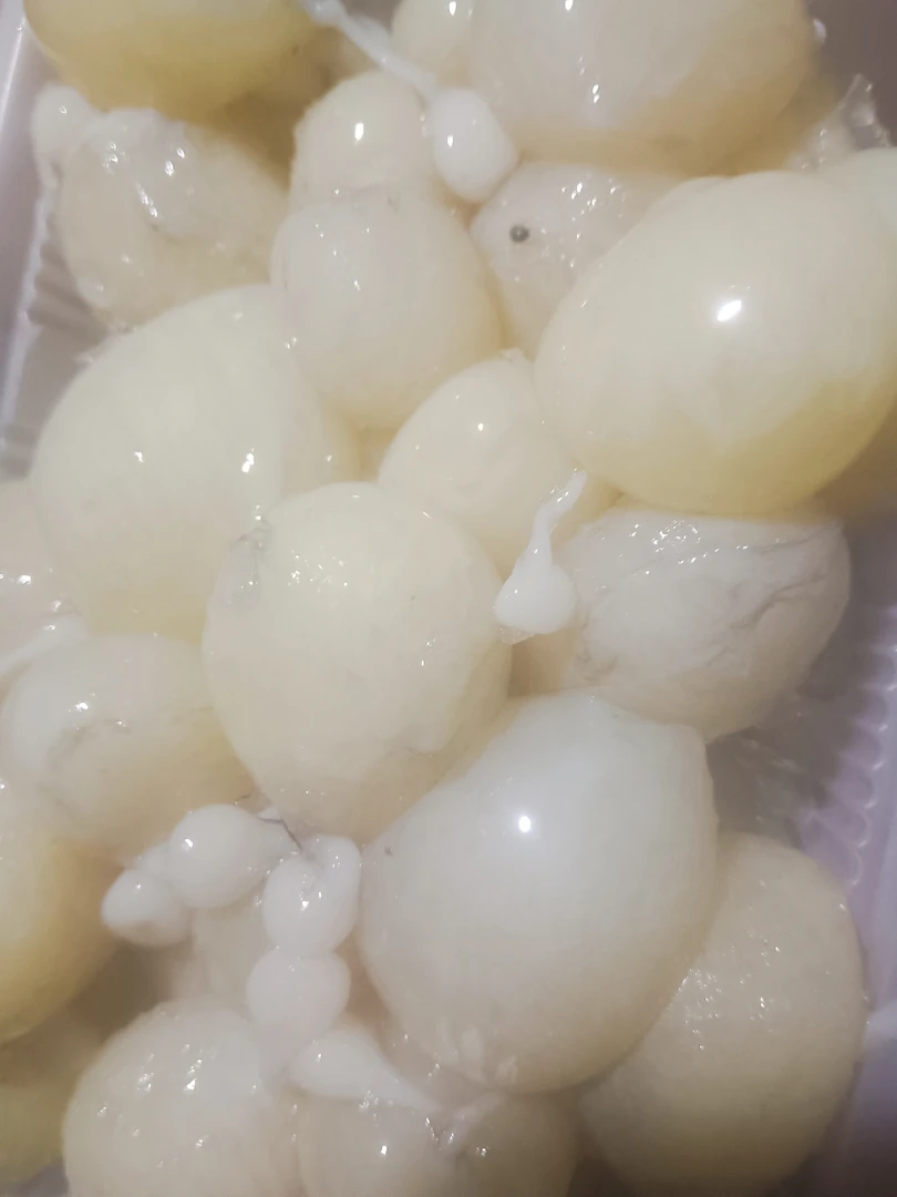 连云港发货 八爪鱼籽顺丰冷链包邮