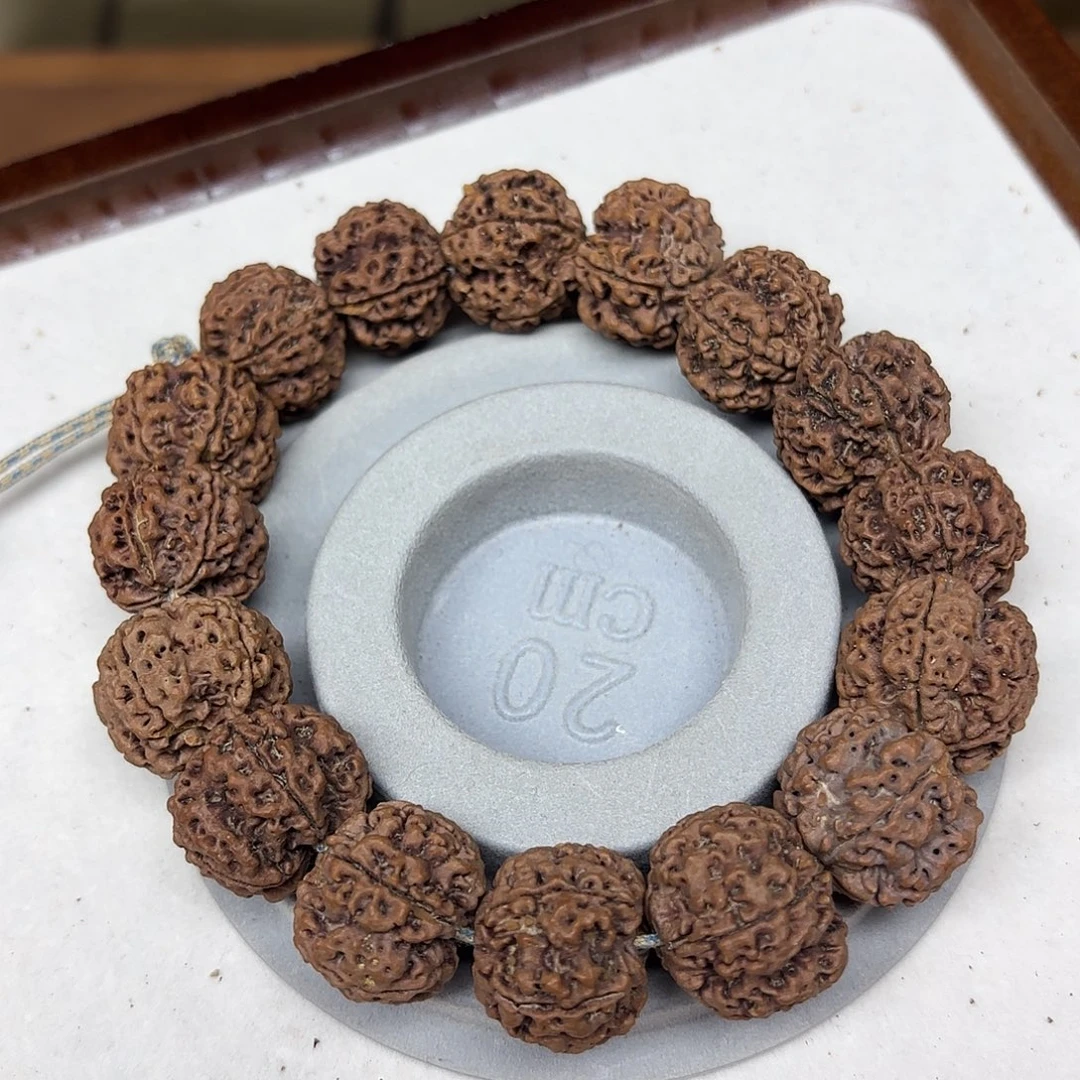 金刚菩提手串原生态金刚菩提树籽